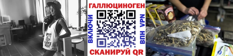 Псилоцибиновые грибы мухоморы  blacksprut как зайти  Каменка 